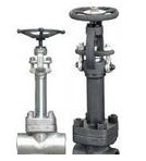 鍛鋼低溫截止閥 鍛鋼低溫截止閥