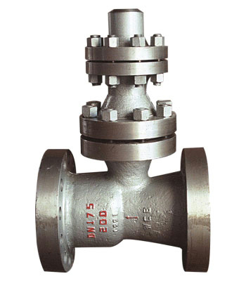 ����ֹ���y