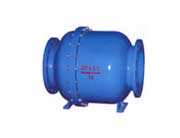 滑道滾球式止回閥 滑道滾球式止回閥