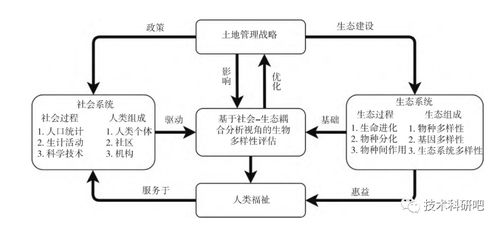 多技術(shù)融合在生態(tài)系統(tǒng)服務(wù)功能社會價值評估中的應(yīng)用及論文寫作與信息系統(tǒng)運行維護拓展分析