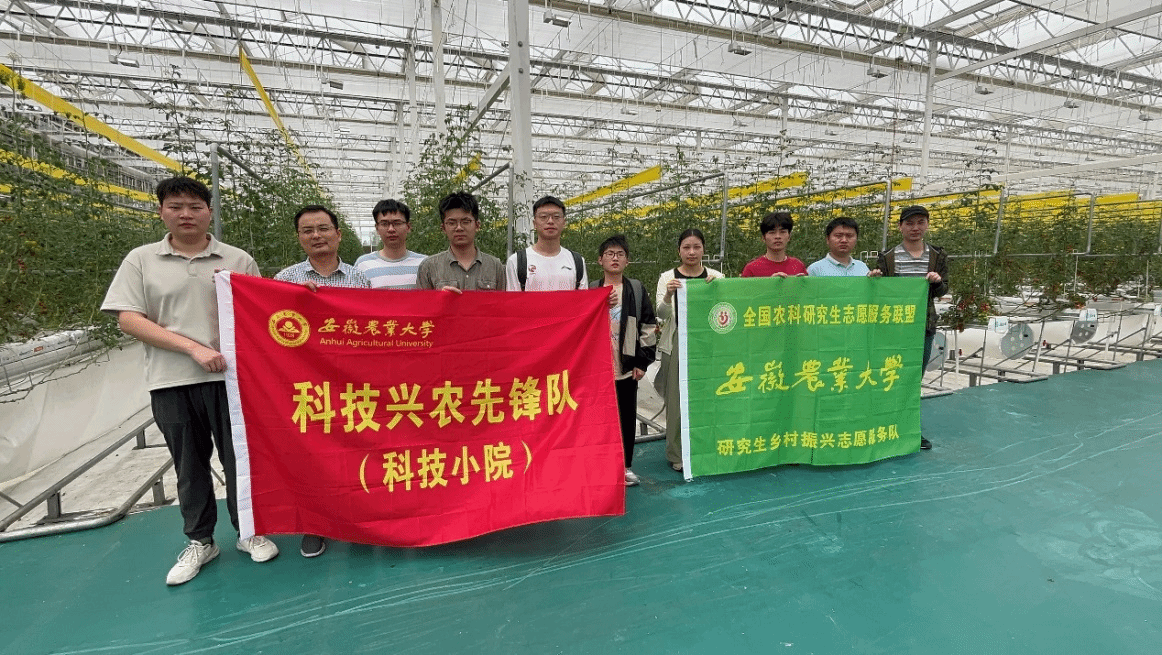 信息與人工智能學(xué)院扎實推進舒城智能蔬菜科技小院建設(shè)與信息系統(tǒng)運行維護服務(wù)