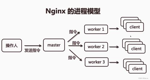 nginx網(wǎng)站服務(wù)詳解 編譯安裝及系統(tǒng)服務(wù)添加